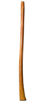 Gloss Finish Flared Didgeridoo (TW733)